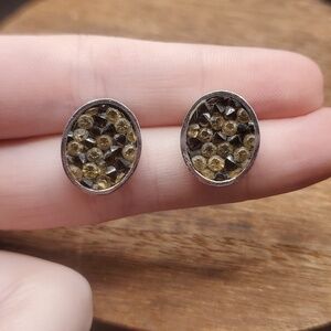 Steel time stainless steel diamonique spackle earrings E941